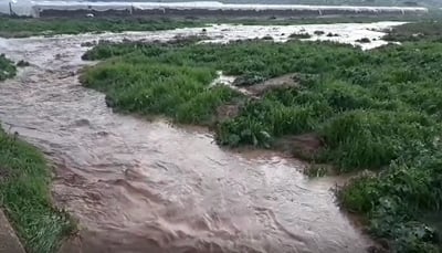 זרימות עזות בנחלי בקעת הירדן: צפו בתיעוד