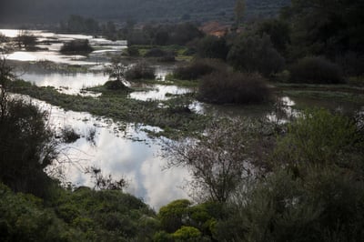 מאגר בית זית