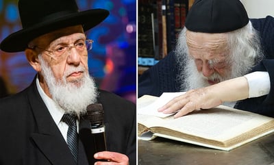 מרן הגר"ח קנייבסקי ונשיא המועצת הגר"ש כהן