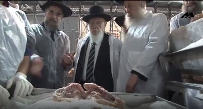 אשפר בשר אורגינל : שחיטה מהודרת - בשרים איכותיים ומועדון לקוחות