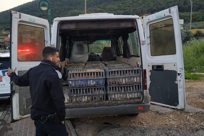 הוביל 330 עופות דחוסים בארגזים - ונעצר