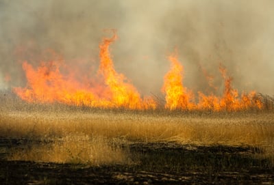 רגיעה בדרום? עוד יום של שריפות בעוטף עזה