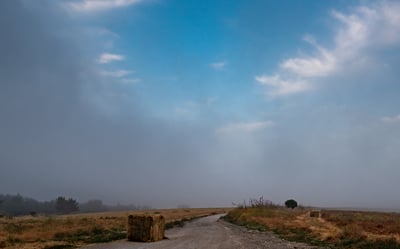 התחזית: התחממות, יהיה חם מהרגיל לעונה