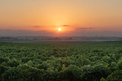 התחזית: נאה עם עלייה קלה בטמפרטורות
