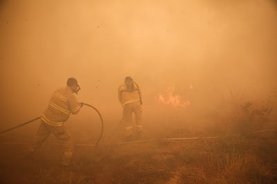 רגיעה בגל השריפות: כ-15 בתים עלו בלהבות המשתוללות