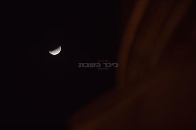צפו בתמונות: ליקוי ירח חלקי בשמי ישראל