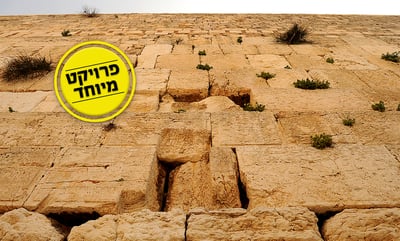 הכותל המערבי