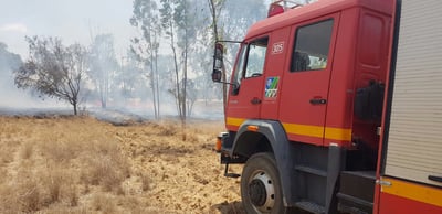 אחרי תקופת שקט: שוב שריפה בדרום הארץ