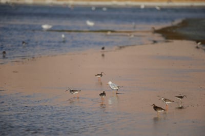 התחזית: מעונן חלקית עד נאה, רגיל לעונה
