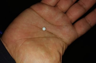 אחד מכדורי הפלסטיק שנורו, ונמצאו בזירה