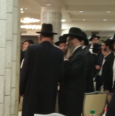 המאבק במדינת ישראל שאיחד את נציגי הפלגים בסאטמר