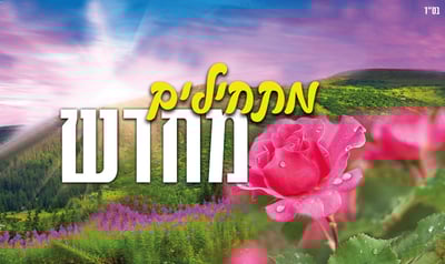 הלהיט "מתחילים מחדש" - בגרסה הנשית והחדשנית