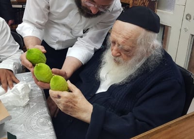 מרוקאי ברשב"ם: מרן שר התורה בוחר אתרוג
