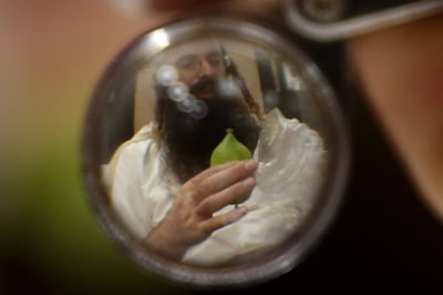 מיוחד: תקציר הלכות קניית ארבעת המינים
