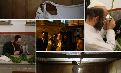ד' מינים וסוכות: מוצאי כיפור - במאה שערים