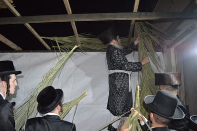 הרבי עלה על הסולם  וסיכך בידיו את הסוכה