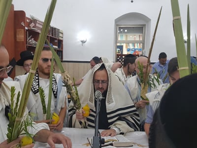 ליפא שמעלצר מתפלל הלל מוזיקלי • צפו