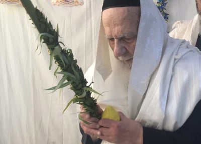 "מראה כהן גדול": נשיא המועצת הגר"ש כהן בהושענות