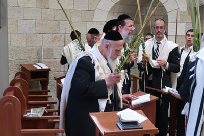 נשיא המועצת בהקפות ב'הושענא רבה'. צפו