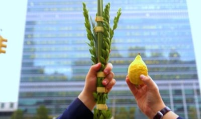 הערבים על הסוכה החב"דית: "איום לשלום"