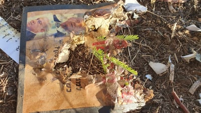 לא תאמינו: זה הספר שהחמאס שיגר לישראל
