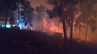 שריפת קוצים גדולה בסמוך לעפולה • צפו בתיעוד