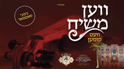 'מלכות' ויואל דוידוביץ' בשיר לכבוד ביקור האדמו"ר מסאטמר