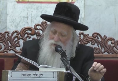 הגר"א שכטר
