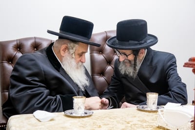 האדמו"ר מקוסוב ויז'ניץ ביקר את הרבי מסקולען