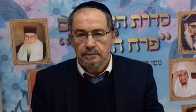 הוורט במרוקאית