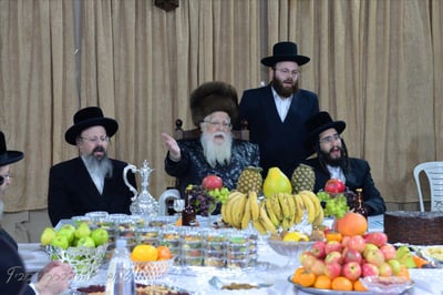 חסידי שאץ - ויז'ניץ חגגו את ראש השנה לאילנות
