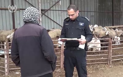 המשטרה פעלה נגד עבירות צער בעלי חיים