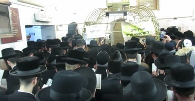 ההילולה בשנה שעברה