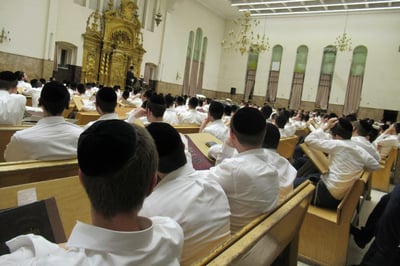 היכל פוניבז'