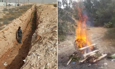 2,000 שתילי קנאביס הושמדו בשריפה • צפו