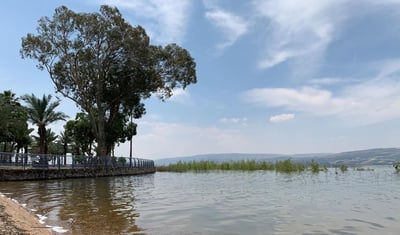 הכנרת המלאה