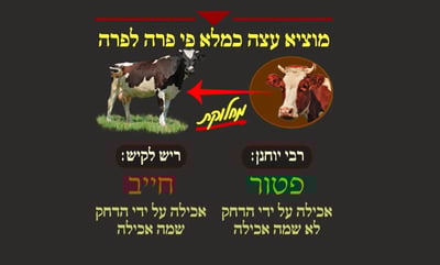 הדף היומי: מסכת שבת, דף ע"ו • סיכום והמחשה