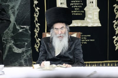 הרבי מאלכסנדר (צילום: בעריש פילמר)