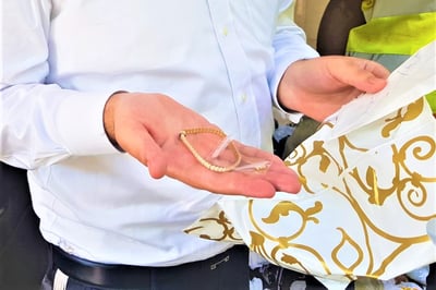 השבת אבידה