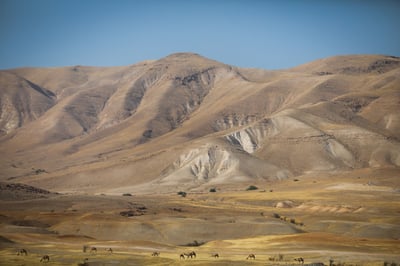 עמק הירדן