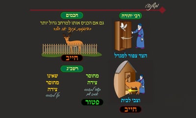 הדף היומי: מסכת שבת, דף ק"ו • סיכום והמחשה