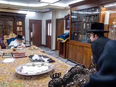 ליפא שמלצר אצל האדמו"ר מסקווירא
