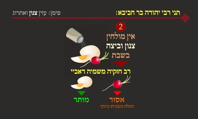 הדף היומי: מסכת שבת, דף ק"ח • סיכום והמחשה