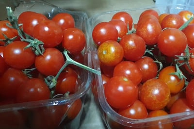 וואו: זה מה שיש בקופסה אחת של עגבניות שרי • צפו
