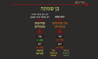הדף היומי: מסכת שבת, דף קל"ו • סיכום והמחשה