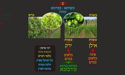 הדף היומי: מסכת שבת, דף קל"ט • סיכום והמחשה