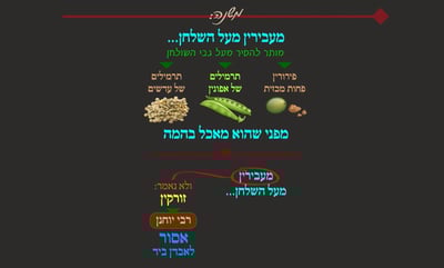 הדף היומי: מסכת שבת, דף קמ"ג • סיכום והמחשה