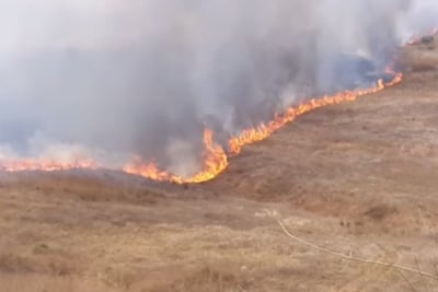 רכסי הכורכר בקיבוץ אור הנר, היום