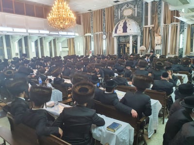 בית המדרש סאטמר בבני ברק. (צילום: ללא קרדיט, באדיבות המצלם)