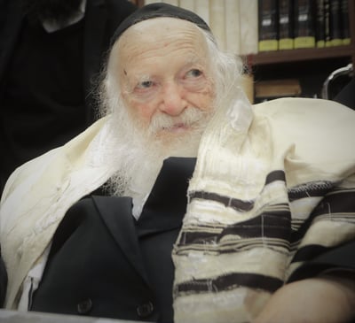ממרומי שנותיו, ולמרות סדר יומו העמוס, שה"ת חותם שטר שותפות